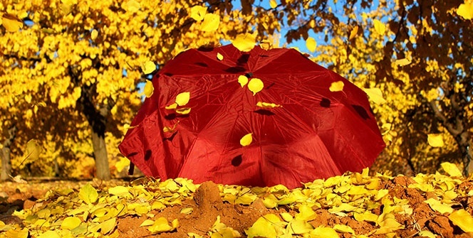 Elazığ'da 'altın yaprakların' görsel şöleni