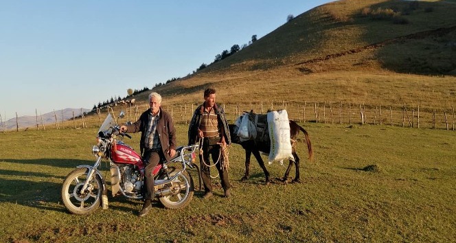 Karadeniz yaylalarında yaz havası yaşanıyor