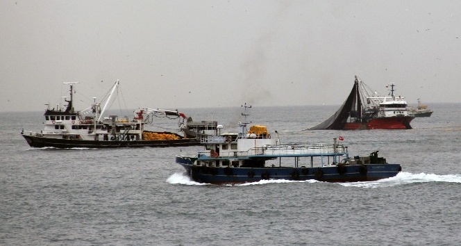 Giresun açıklarına akın eden balıkçı tekneleri görsel şölen oluşturdu