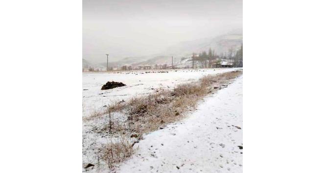 Şırnak’ta yüksek kesimlere kar yağdı