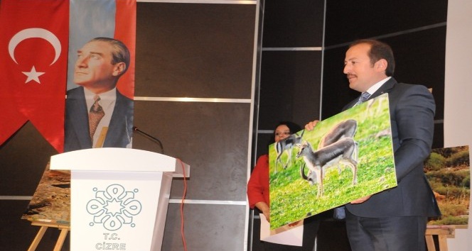 Cizre’de Cudi Dağı Ceylan Yerleştirme Sahası Projesi