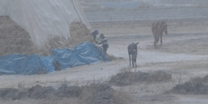 Yoğun kar yağışı! Her yer beyaza büründü, göz gözü görmedi
