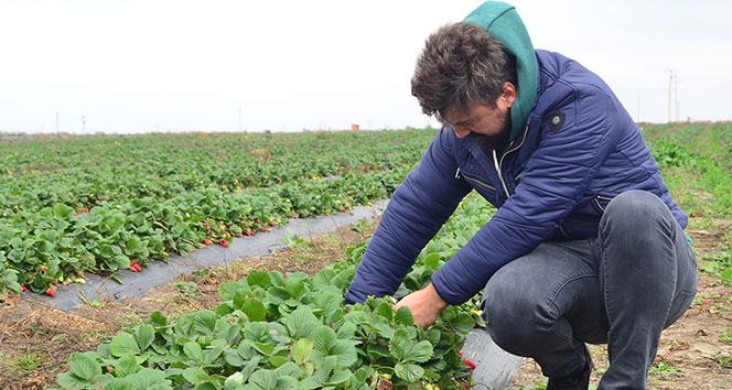 Doktorasını dondurdu çiftçi oldu