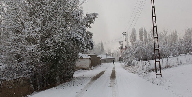Van’da kar yağışı çevreyi beyaza bürüdü