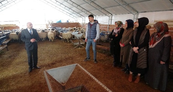 Çobanlık akademisi ilgi görüyor