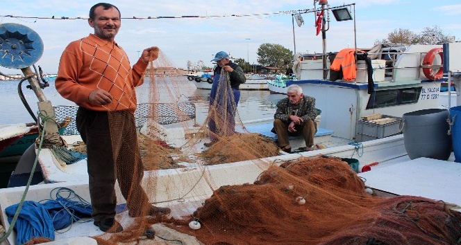 Yalovalı balıkçılar: &quot;Yunuslar balıkçılığı bitirecek&quot;