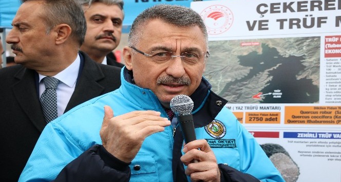 Cumhurbaşkanı Yardımcısı Oktay: “Yerelden kalkınma olmazsa ulusal anlamda kalkınmayı başaramayız”