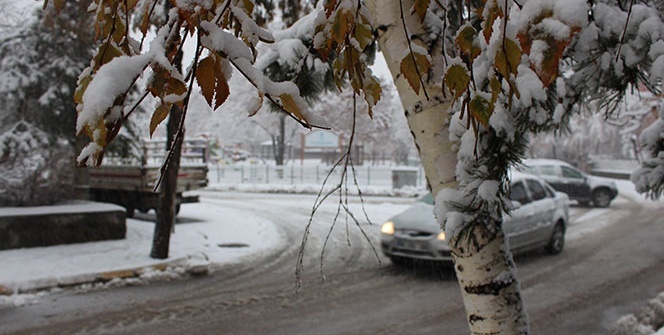 Erzurum’da kar hayatı felç etti