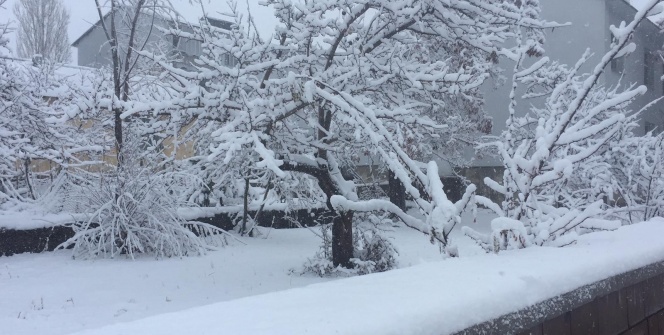 Bingöl’ün Karlıova ve Yedisu ilçeleri güne karla uyandı