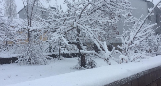 Bingöl’ün Karlıova ve Yedisu ilçeleri güne karla uyandı