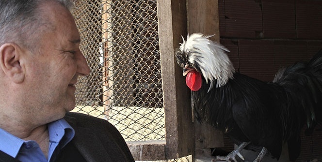 Dünyanın her ülkesinden nadir tavukları getirdi, şimdi bütün dünyaya satıyor