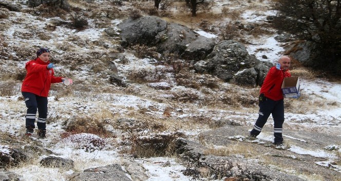 Elazığ’da yüksek kesimlere kar yağdı, sağlıkçılar doğaya yem bıraktı