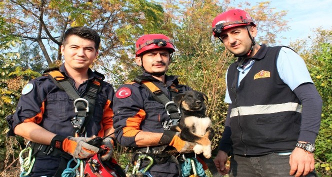 30 metrelik kuyuya düşen yavru köpek operasyonla kurtarıldı