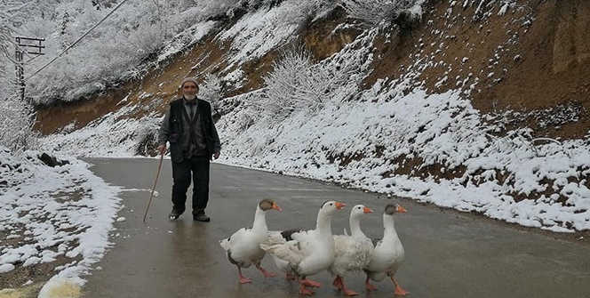 Kar Giresun’un iç kesimlerinde etkili oluyor