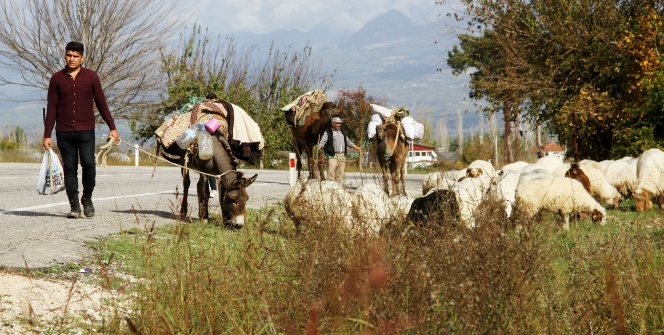 Yörük göçü ilginç görüntüler oluşturdu