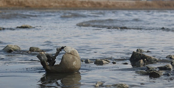 Van Gölü’nde tüyler ürperten olay
