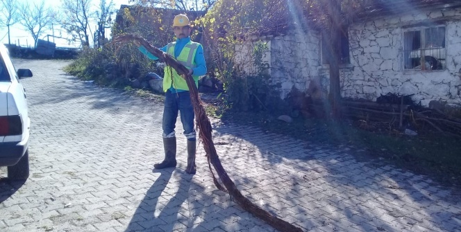 Su borusunun içinden çıktı! Tam 6 metre