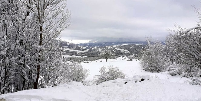 Erzincan’da karın ardından kartpostallık görüntüler oluştu