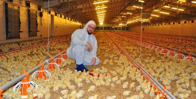 Gazetede gördü, devlet desteğiyle milyonluk tesis sahibi oldu!