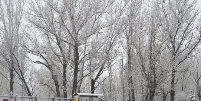 Her yer beyaza büründü!