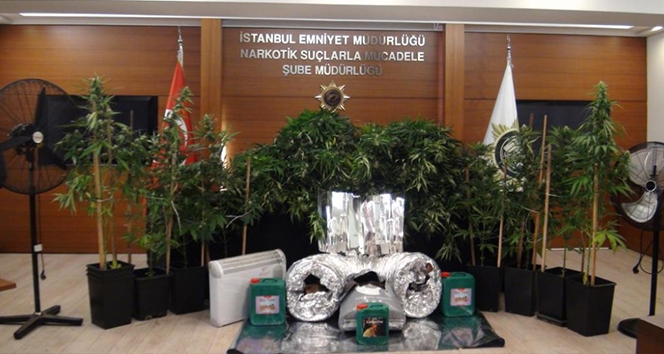 Avcılar’da evi uyuşturucu serasına çevirmişler