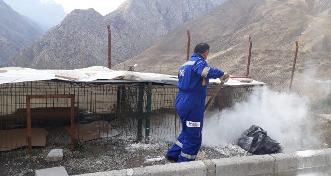 Hakkari�de Hayvan Bakım Evleri Dezenfekte Edildi Hakkari
