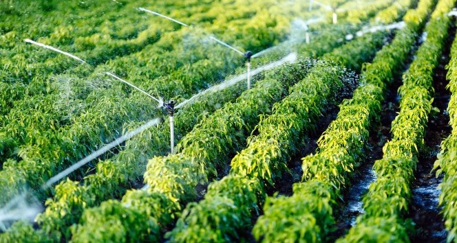 Sulu tarım ülke ekonomisine 68 milyon lira katkı getirdi