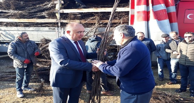 Tokat cevizle kalkınacak
