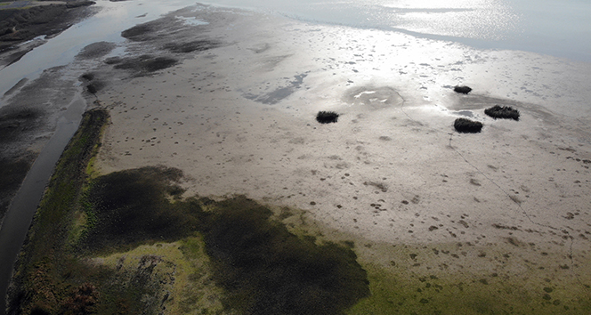 Büyükçekmece Gölü’nde sular çekildi, balçıklar ortaya çıktı