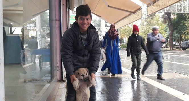 Kızıltepeli çocuk yiyeceğini sokak köpeği ile paylaştı