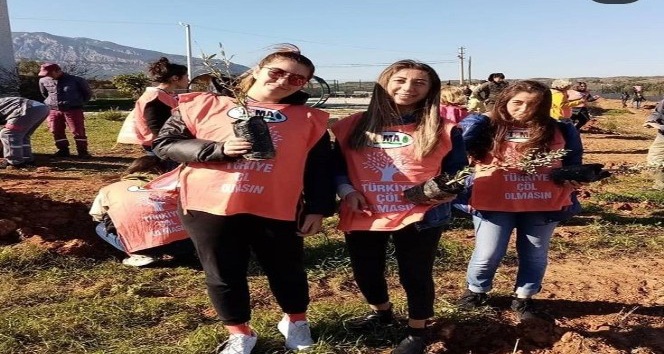 Datça MYO öğrencileri okul kampüsünü yeşillendirdi