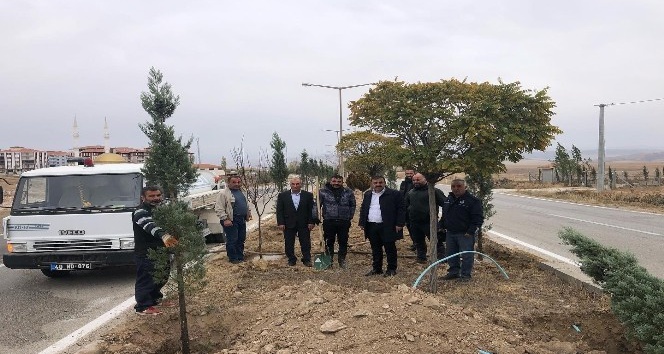 Çiçekdağı ilçesinde ağaçlandırma çalışmaları sürüyor