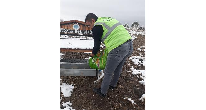 Nevşehir Belediyesi soğuk havalarda sokak hayvanlarını unutmadı