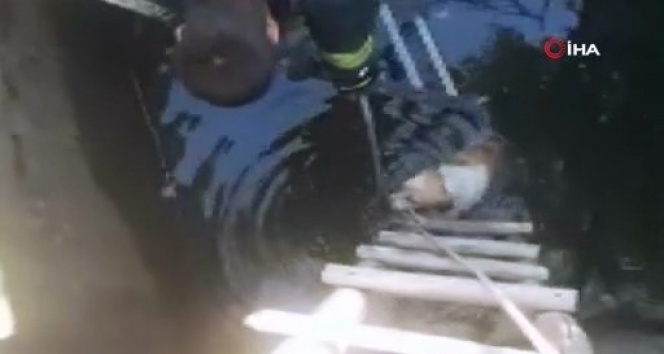 5 metrelik kuyuya düşen köpeği itfaiye kurtardı