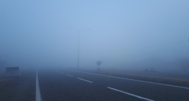 Tuzluca’da yoğun sis etkili oldu