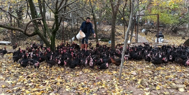 İş bulamayınca kendi işini kurdu! Siparişlere yetişemiyor!