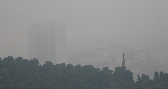 Şanlıurfa&#039;da yoğun sis etkili oldu
