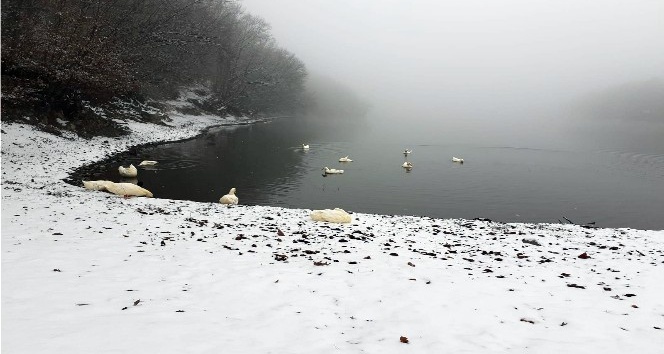 Boraboy Gölü’nde kar güzelliği