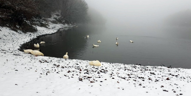 Boraboy Gölü'nde kar güzelliği