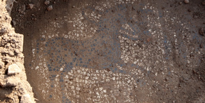 Tarlasında buldu! 30 milyon dolar