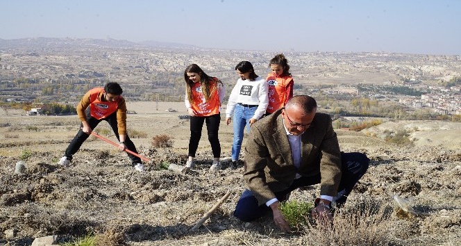 Greenmetric’te Kapadokya Üniversitesi büyük başarı elde etti