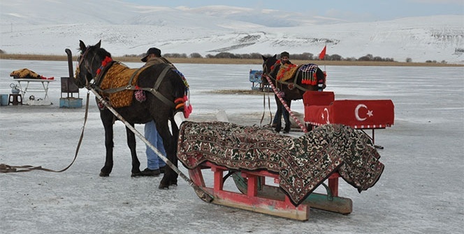 Atlı kızaklar Çıldır Gölü'ne indi