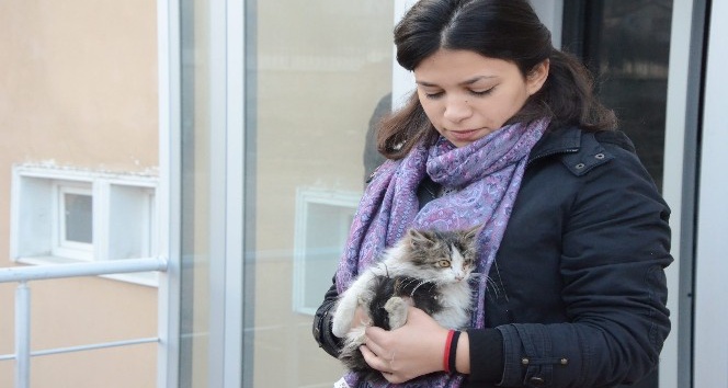 Öğrenciler ve belediye ekipleri minik kedi için seferber oldu
