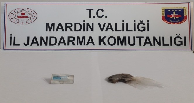 Mardin’de uyuşturucu operasyonu