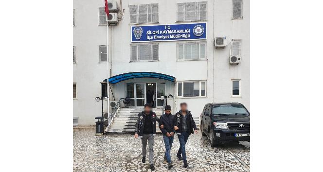 Silopi’de uyuşturucu operasyonu: 1 kişi tutuklandı