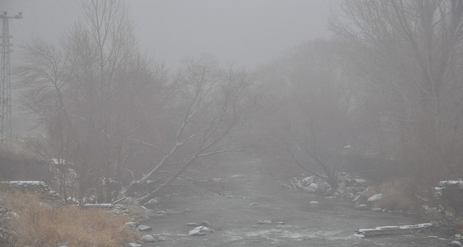 Kars’ta yoğun sis etkili oluyor