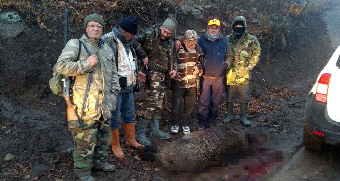 Karaman’da yaban domuzlarına karşı sürek avları devam ediyor