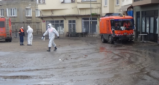 Büyükada’da ‘Fayton Bekleme Meydanı’ temizleniyor