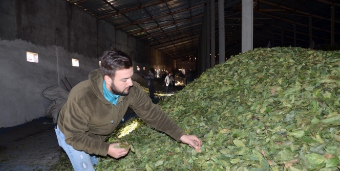 İnternette gördü, şimdi paraya para demiyor