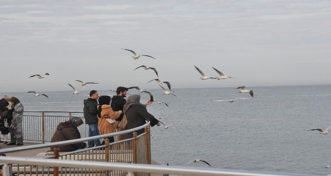 Doyumsuz manzarada Mart?lar?n ekmek kavgas?